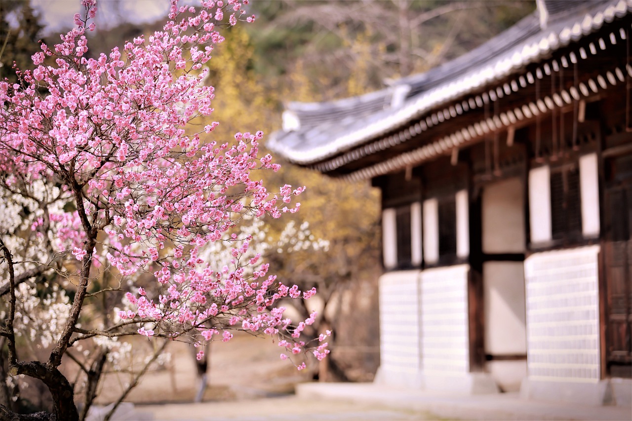 梅花集團(tuán)股吧深度解析，背景、現(xiàn)狀與未來展望探究